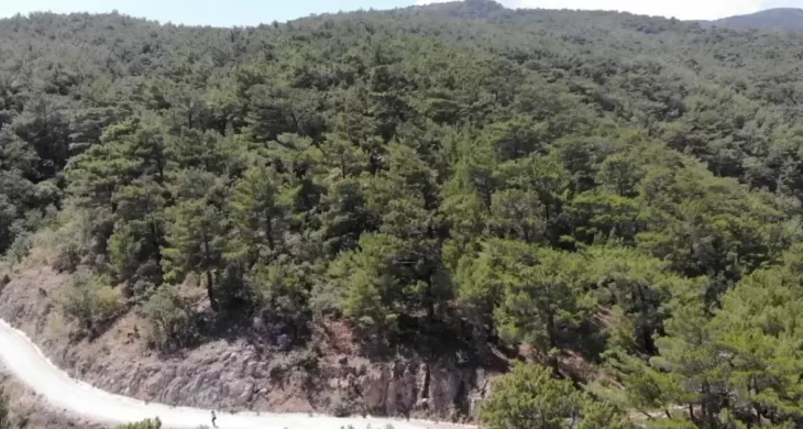 Kahramanmaraş’ta ormanlara girişlere yangın tedbiri