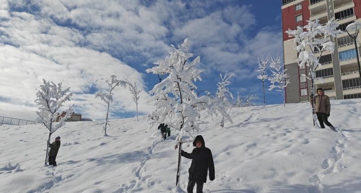 Kar yağışı nedeniyle bazı illerde okullar tatil edildi