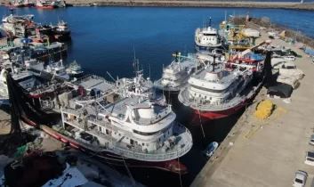 Karadeniz’de av sezonu sona erdi: Beklentiler karşılanmadı