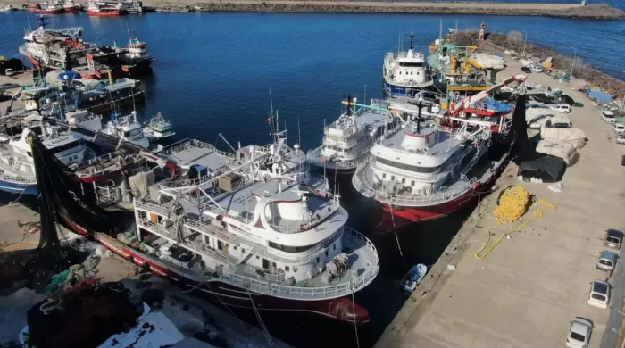 Karadeniz’de av sezonu sona erdi: Beklentiler karşılanmadı