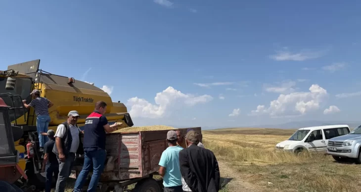 Kars’ta Ata tohumu kavılca’da hasat bereketi