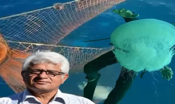 Kaş’lı Balıkçılara denizanası alarmı