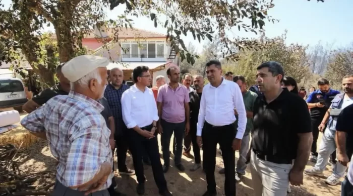 Kaş’ta yangın yaraları sarılıyor