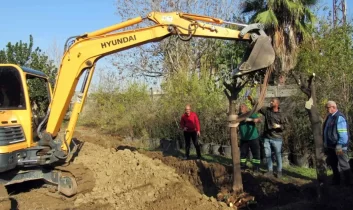 Kavşak düzenlemesi çalışmalarında ağaç kesimi yok, ağaç nakli var…