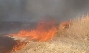 Beypazarı’nda anız ve sap yangını