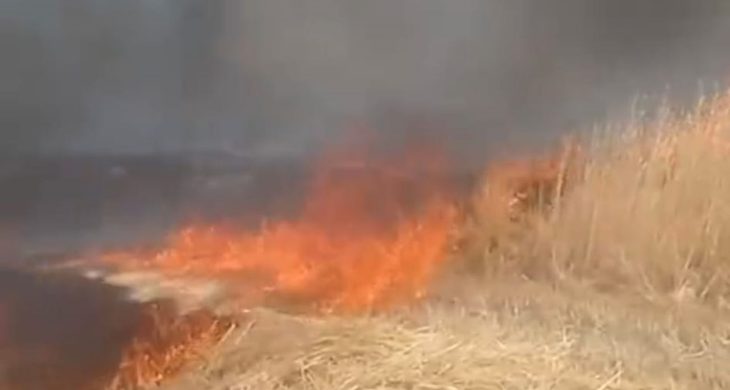 Beypazarı’nda anız ve sap yangını