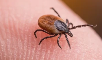 KKKA şüphesi: 21 yaşındaki genç hayatını kaybetti