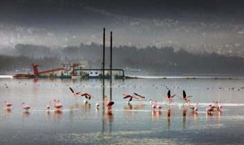 Kocaeli Büyükşehir’in Dip Çamuru Projesi’nde 2. etap: 170 hektar alan dip çamurundan arındırıldı