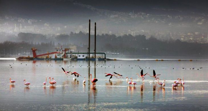Kocaeli Büyükşehir’in Dip Çamuru Projesi’nde 2. etap: 170 hektar alan dip çamurundan arındırıldı