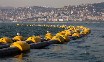 Çamur gidiyor, yeni canlılar geliyor