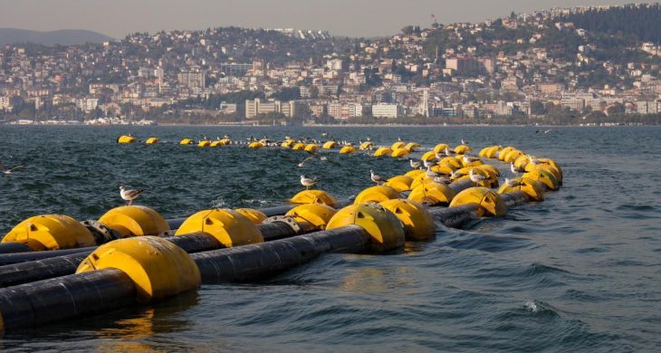 Çamur gidiyor, yeni canlılar geliyor