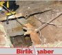 Kuyuya düşen köpek AFAD ekiplerince kurtarıldı