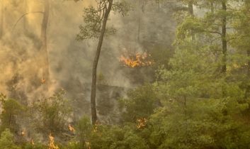 Çanakkale Ezine’de orman yangınına müdahale sürüyor