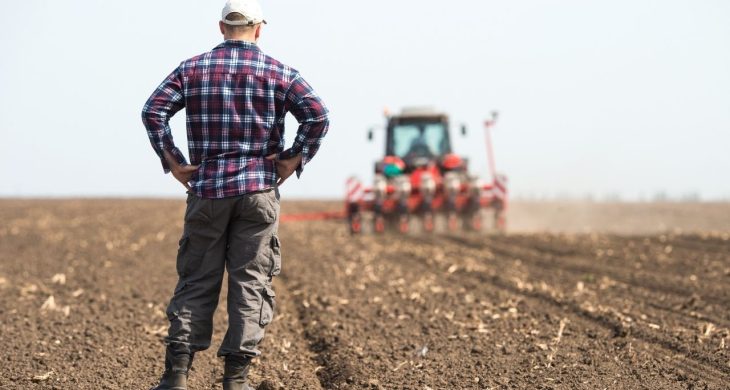 FAO’dan Türkiye’nin arazi tahribatıyla mücadelesine 8,1 milyon dolarlık destek