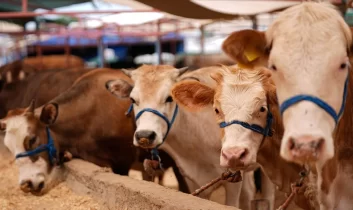 Kurban Bayramı tatili 9 güne çıkarıldı