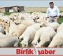 Kurban Bayramı’nda küçükbaş hayvan alın tavsiyesi