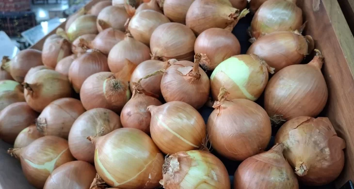 Kuru soğan ihracatı yıla hızlı başladı