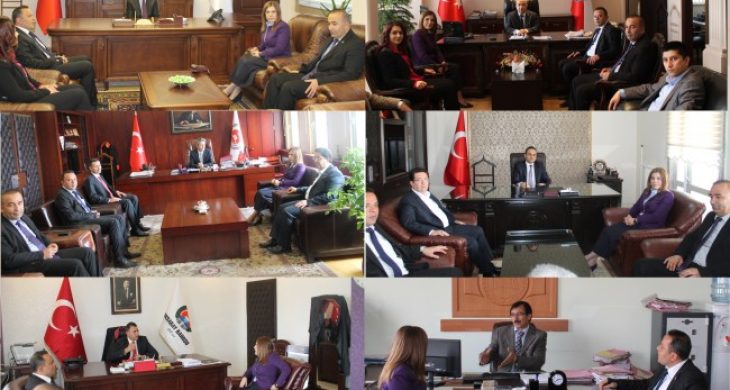 Ak Parti heyeti resmi kurumları ziyaret etti