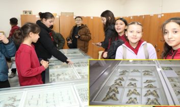 ISUBÜ Ziraat Fakültesi Böcek müzesinde 30 bin böcek örneği sergileniyor