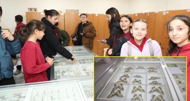 ISUBÜ Ziraat Fakültesi Böcek müzesinde 30 bin böcek örneği sergileniyor