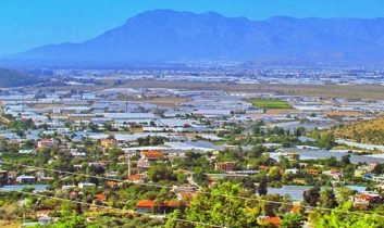 Sahil kesimdeki örtü altı üreticilere soğuk hava uyarısı