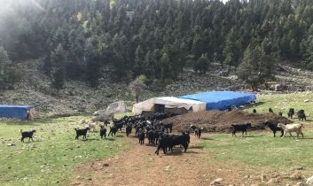 Havalar soğudu, yörüklerin dönüş yolculuğu başladı