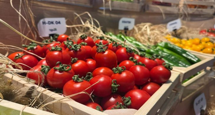 Türkiye tohumda ihracatçı ülke konumunu güçlendirdi