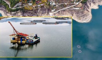 Karacaören Barajı’nda balıkçılık canlanıyor