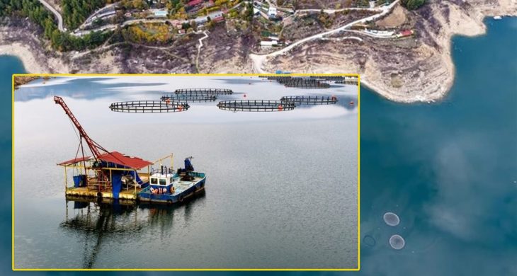 Karacaören Barajı’nda balıkçılık canlanıyor