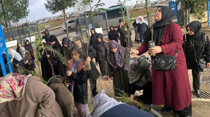 Batman’a ücretsiz fidan dağıtımı