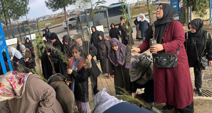 Batman’a ücretsiz fidan dağıtımı