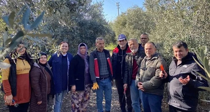 Antalya Serik’te meyve budama ve terbiye kursu verildi