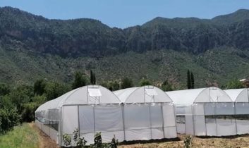 Seralarda yıkım hasat sonrasına ertelendi