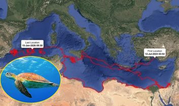 Caretta Gümüş 24 bin km yol kat etti