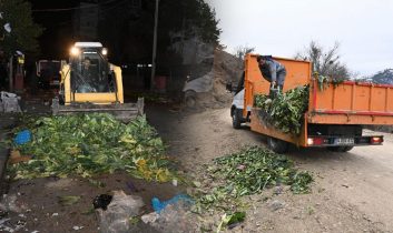 Isparta Belediyesi’nden yaban hayvanlarına kış desteği