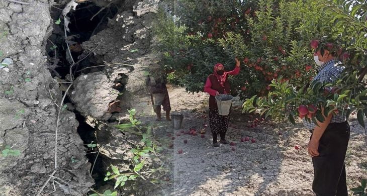 Eğirdir’de elma bahçesinde obruk oluştu