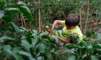 Lokomotif Çocuk Köyü’nde hasat sevinci