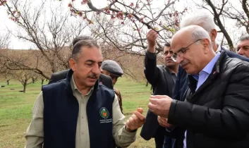 Malatya’da dolu hasarı için rapor hazırlanıyor: Veriler Ankara’ya iletilecek