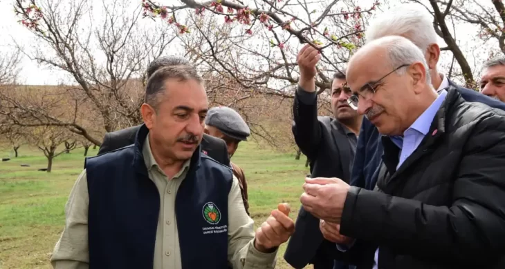 Malatya’da dolu hasarı için rapor hazırlanıyor: Veriler Ankara’ya iletilecek
