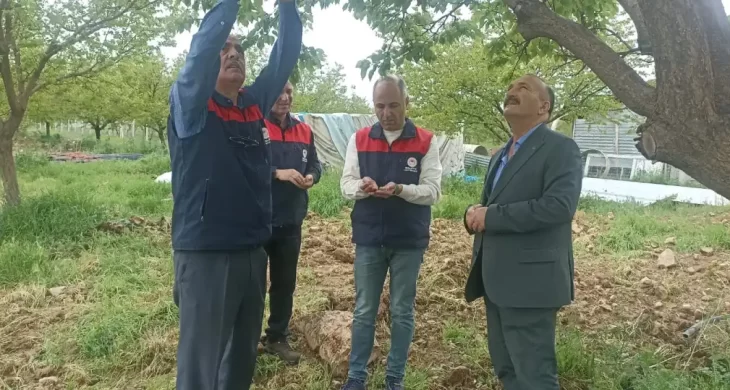 Malatya’da dolu yağışı sonrası hasar tespit çalışmaları başlatıldı