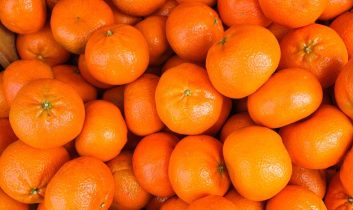 Mandalinada tüm zamanların ihracat rekoru kırıldı