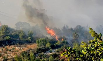 İzmir’de orman yangını: Bornova’da başlayan alevler Buca’ya sıçradı