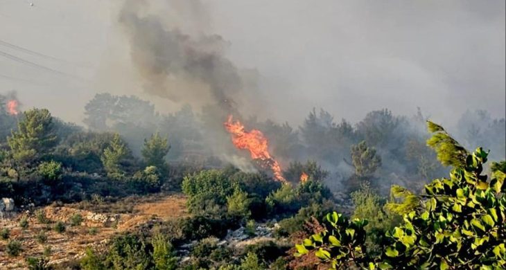 Mersin Silifke’de orman yangını!