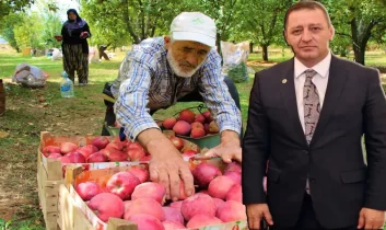 Milletvekili Sönmez açıkladı: Binlerce ton elma alıcı bekliyor