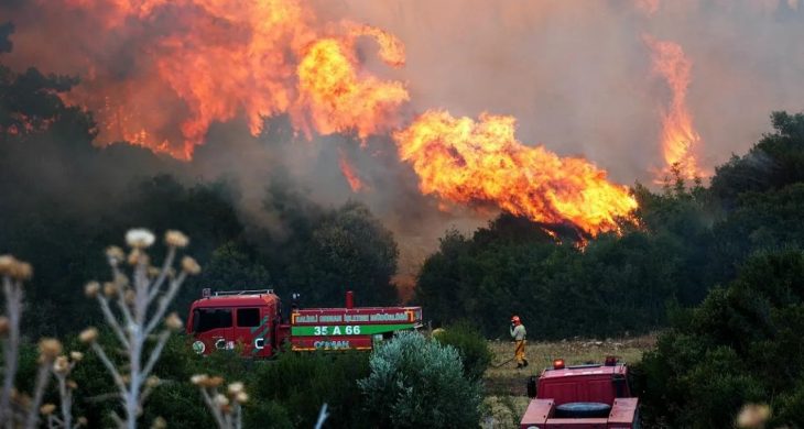 Minibüsten ormana sıçrayan yangın davası: 4 sanığa 7 yıla kadar hapis istemi