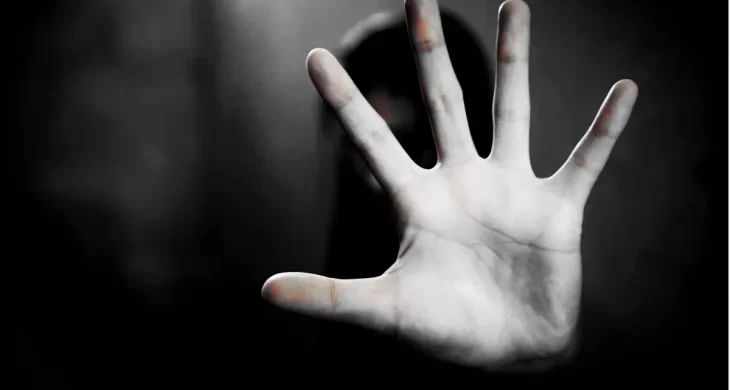 Miras tartışması kanlı bitti: Kadına bıçaklı saldırı