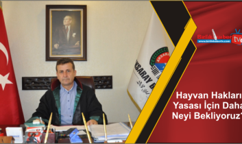 Hayvan Hakları Yasası İçin Daha Neyi Bekliyoruz?