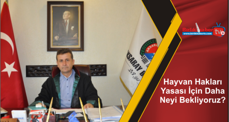 Hayvan Hakları Yasası İçin Daha Neyi Bekliyoruz?