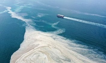 Marmara’da temmuz araştırmasında müsilaj gözlenmedi