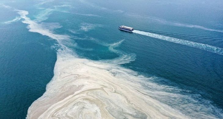 Marmara’da temmuz araştırmasında müsilaj gözlenmedi